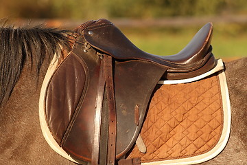 Image showing horse saddle