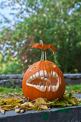 Image showing Halloween pumpkin