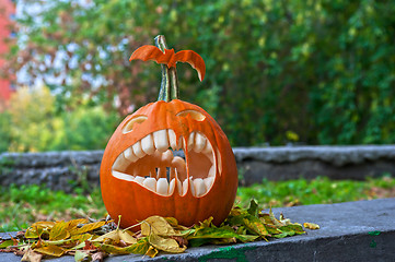 Image showing Halloween pumpkin