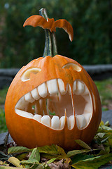 Image showing Halloween pumpkin