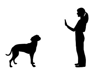 Image showing Dog training (obedience): command stop