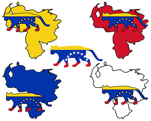 Image showing Cougar Venezuela