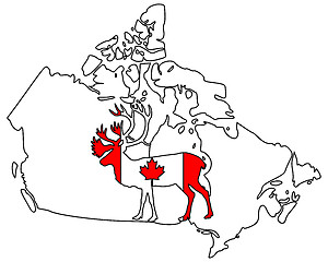 Image showing Canadian Caribou