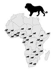 Image showing Distribution lion