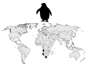 Image showing African penguin range