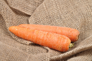 Image showing Carrots on jute