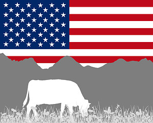 Image showing Cow alp and flag of USA