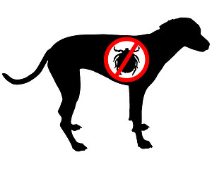 Image showing Dog prohibition sign for ticks