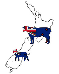 Image showing Sheeps of New Zealand