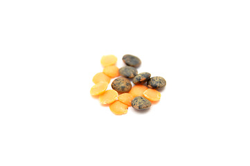 Image showing Detailed but simple image of lentils on white 