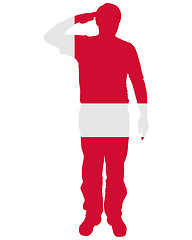 Image showing Danish Salute