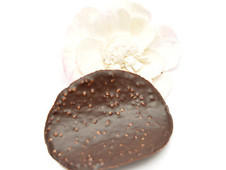 Image showing Littele chocolate chips