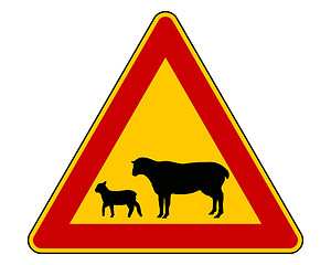 Image showing Sheep flock warning sign