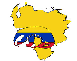 Image showing Anteater  Venezuela 