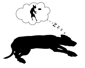 Image showing Dog dreams