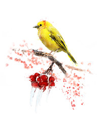 Image showing Watercolor Image Of  Yellow Bird