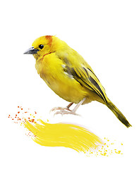 Image showing Watercolor Image Of  Yellow Bird