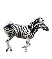 Image showing Watercolor Image Of  Zebra