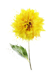 Image showing Watercolor Image Of Yellow Dahlia