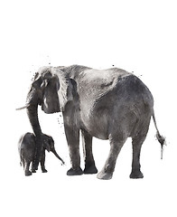 Image showing Watercolor Image Of  Elephants