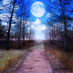 Image showing Full Moon And Woods