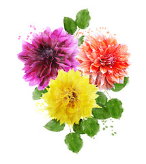 Image showing Watercolor Image Of  Dahlia Flowers