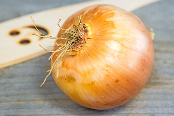 Image showing onion on a plank