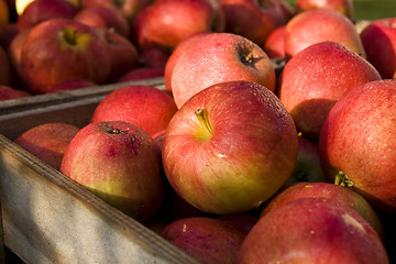 Image showing Red apple