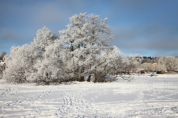 Image showing Winter Park