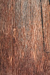 Image showing Wood texture