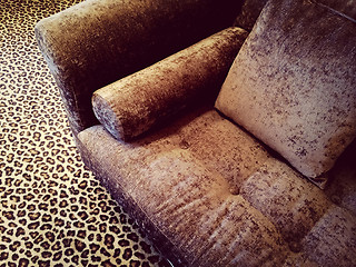 Image showing Velvet sofa on leopard carpet