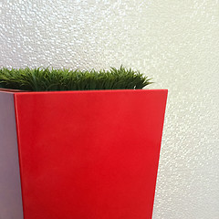 Image showing Grass in red flowerpot