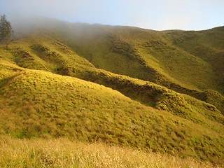 Image showing hilly grassland around Mount Rinjani