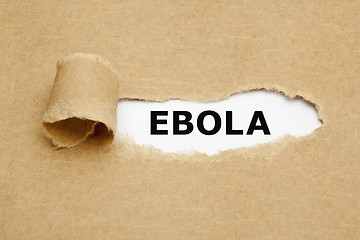Image showing Ebola Torn Paper