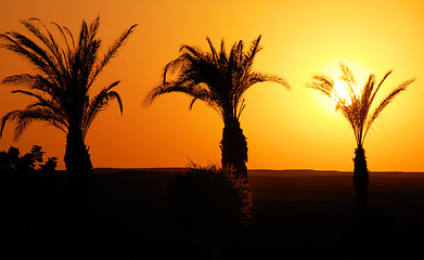 Image showing Sunset in Egypt