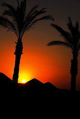 Image showing Sunset in Egypt