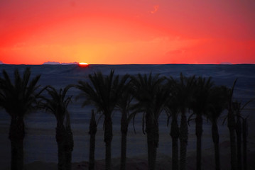 Image showing Sunset in Egypt