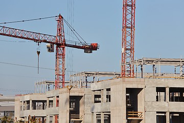 Image showing Construction Cranes