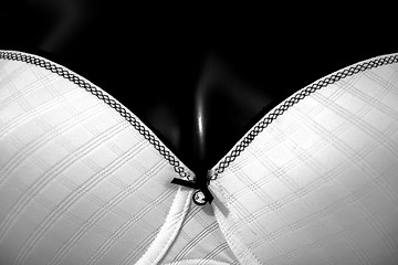 Image showing White bra