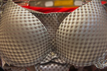 Image showing Patterned bra