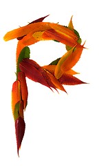 Image showing Letter made out of Leaves