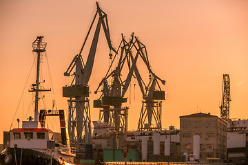 Image showing Industrial cargo cranes in the dock