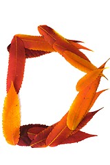 Image showing Letter made out of Leaves