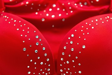 Image showing Red bra with glimmering