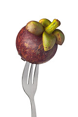 Image showing Whole mangosteen held by a fork