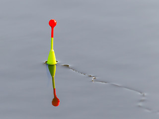 Image showing Fishing float floating