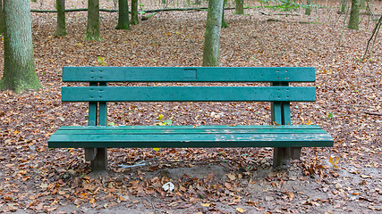 Image showing Wooden park bench in a forrest