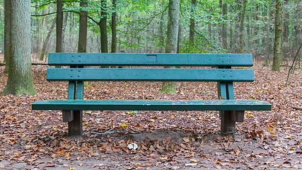 Image showing Wooden park bench in a forrest