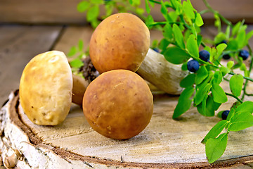 Image showing Ceps with blueberries on birch billet