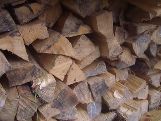 Image showing Stacked firewood